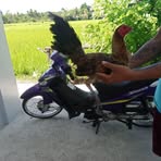Arnold Samson - Facebook