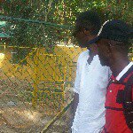 @arnoldsaunders - Instagram
