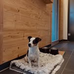 Arnold Schaefer - @arnoldschaefer96 - Instagram