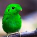 Arnold Schimmel - Facebook