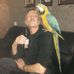 Arnold Schipper - Facebook