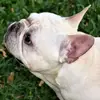 schmitzarnold - @schmitzarnold - TikTok