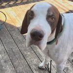 Curry Arnold Schreiber - @the_adventures_of_curry - Instagram