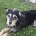 Sandi Schrock - Facebook