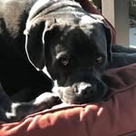 Stephanie Arnold Schrock - @stephanieschrock - Instagram