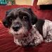 Arnold Schultz - Facebook