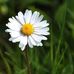 Arnold Schultz - Facebook