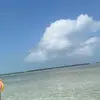 arnold Schwartz - @arnold.schwartz82 - TikTok