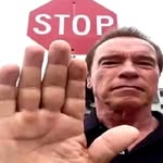 Fake Arnold Schwarzenegger - @arnold_schwartzeneggar - Instagram