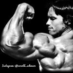 Arnold - @arnold_schwarz - Instagram