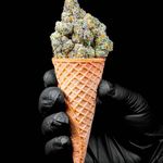 Arnold Serna - @ornol.green - Instagram