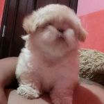 EL Carma - @arnold.serna.9 - Instagram