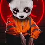 gushman - @arnoldshan34 - Instagram