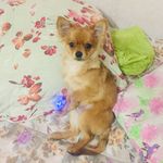 Арнольд Фридрих Шапиро - @arnold_shapiro_3 - Instagram