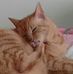 Arnold Shapiro - Facebook