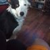 Arnold Sharp - Facebook