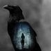 Sherry Arnold - Facebook