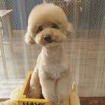 @arnold_shin_ - Instagram