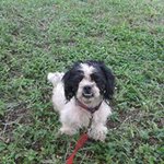 Arnold Simmons - @simmonsarnold - Instagram