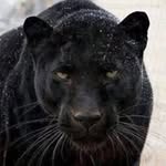 Arnold Singleton - @arnold55singleton - Instagram
