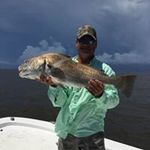 Vestal Arnold - @vestalarnold - Instagram