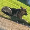 arnoldwaldner - @arnoldwaldner0 - TikTok