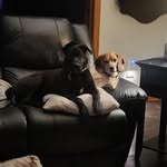 Arnold Webb - @camplife4vr - Instagram
