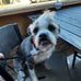 Arnold Whipple - Facebook