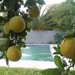 Juan Arnoldo Rincón Tuexi - @arincont57 - Instagram