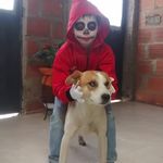 arnulfo León Medina - @arnulfoleonmedina - Instagram