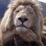 José Arnulfo leon botero - @josearnulfoleon - Instagram