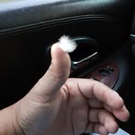 Arnulfo Muñoz - @munozarnulfo35 - Instagram