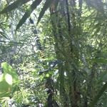 Asbel Arodi Nateras Sanchez - @asbelarodinateras - Instagram