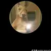 Aroldo lemus - @aroldo.lemus04 - TikTok
