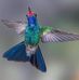 Aroldo Lopez - Facebook