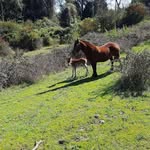 Aroldo G Vallejos - @aroldo.vallejos.796 - Instagram