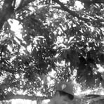 Aron Abella - Facebook