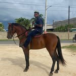 Aron Alexander Silvestre - @aron.silvestre - Instagram