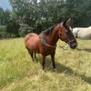 aaronragon2011 - @aaronragon20118 - TikTok