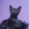 aron arce - @aron.arce66 - TikTok
