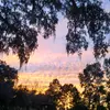 aaron.armstrong3 pls pick - @aaron.armstrong3 - TikTok