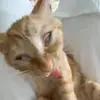 Aarown - @aron.ash - TikTok