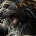Aron Baccam - Facebook