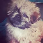 damarisbh - @aronbarbero58 - Instagram