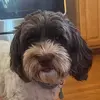 Aaron Barnett - @aaron.barnett13 - TikTok