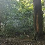 Aron Bates - Facebook