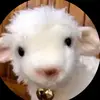 aron bauer726 - @aron.bauer726 - TikTok