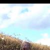 Bean Dog - @aaron.bean - TikTok