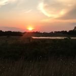 Aaron Beck - @aaron.beck768 - Instagram