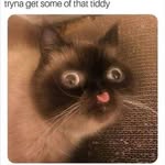 Aron Bennett - @the_other189 - Instagram